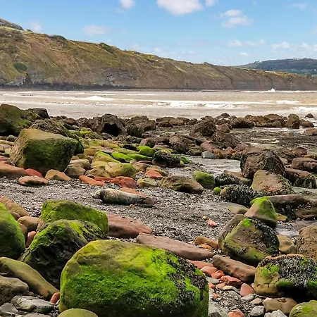 Smugglers View Nr Whitby Ravenscar