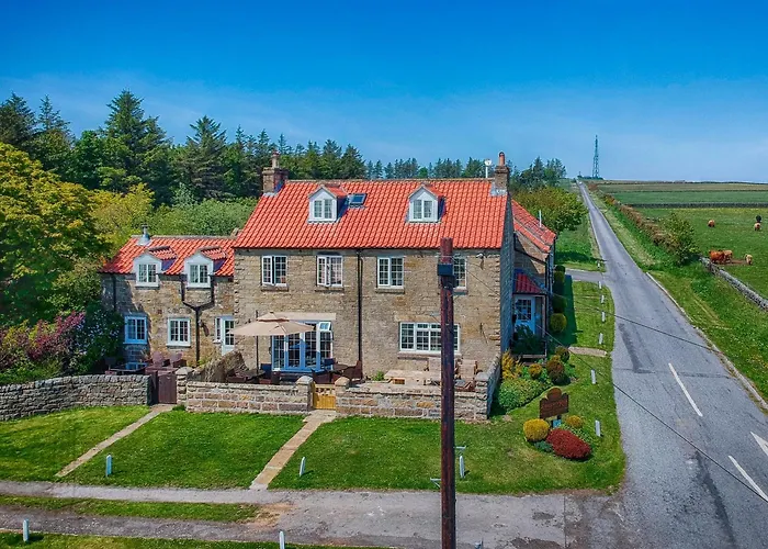 Smugglers View Nr Whitby Ravenscar