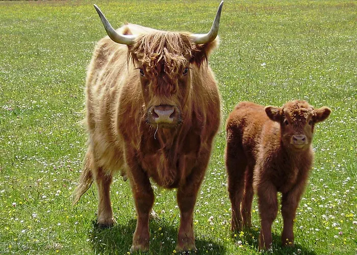 Smugglers View Nr Whitby * Ravenscar